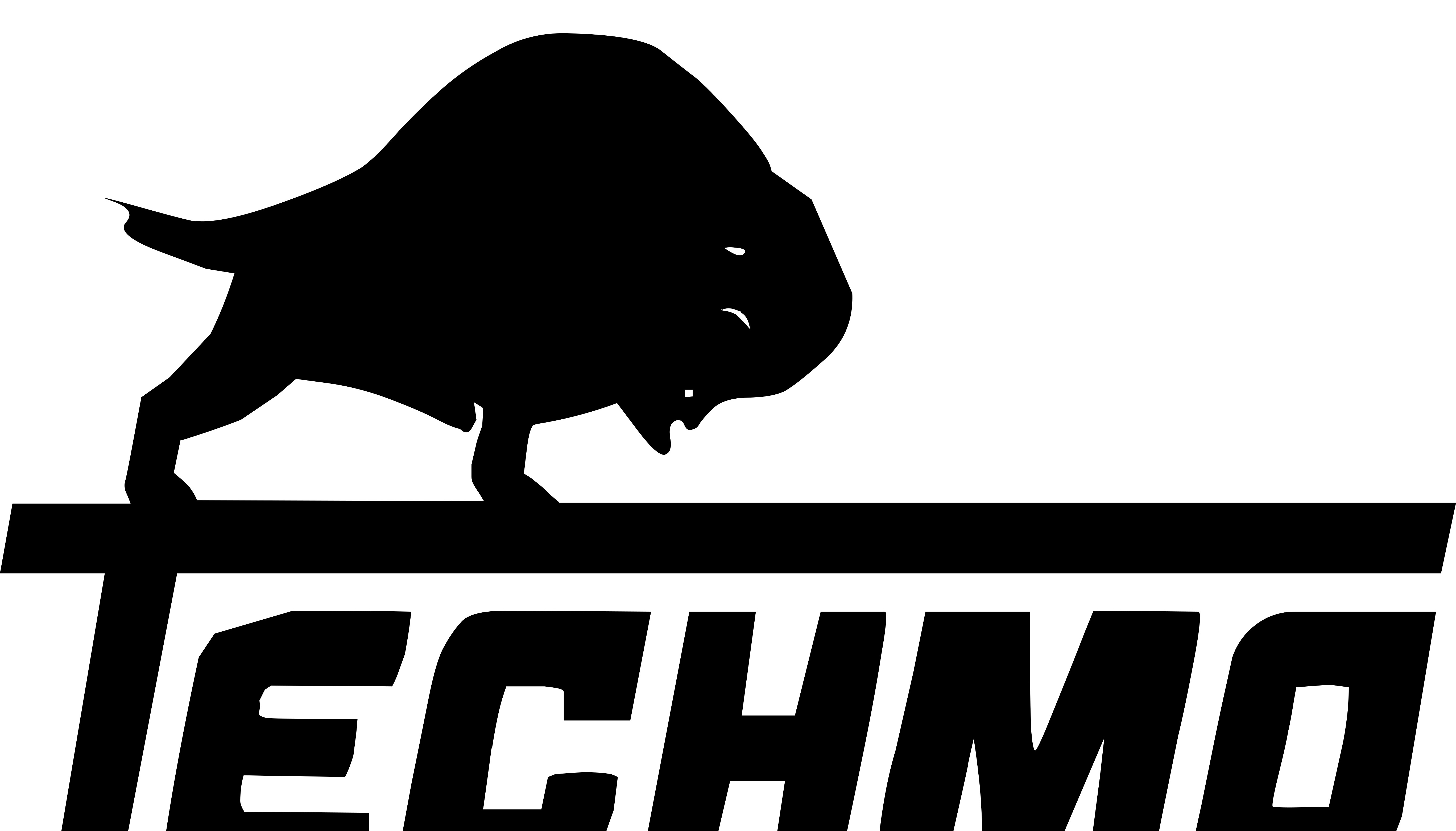 Cliente Techmo